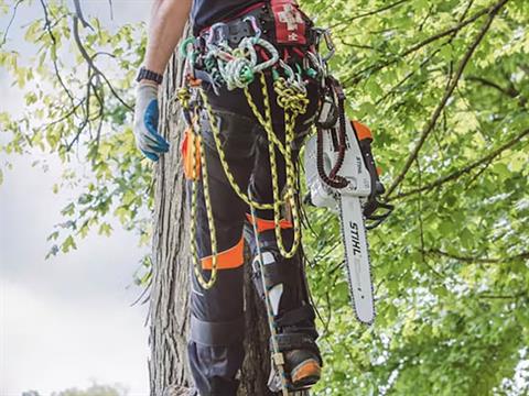 Stihl MS 201 T C-M in Saint Maries, Idaho - Photo 3
