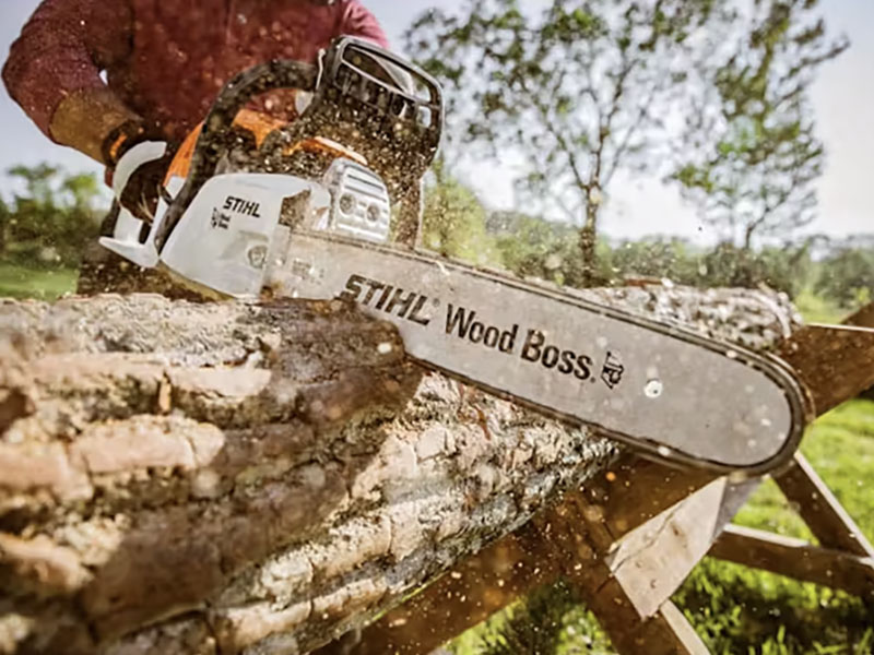 Stihl MS 251 WOOD BOSS 18 in. Bar in Mio, Michigan - Photo 3