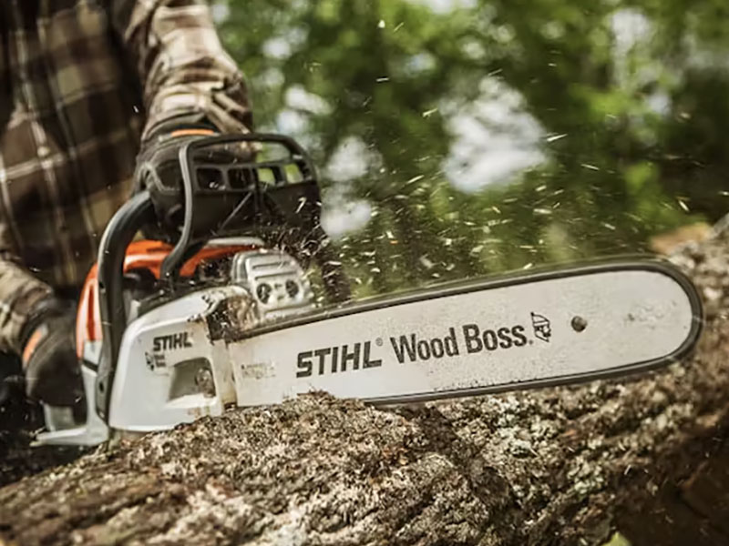 Stihl MS 251 WOOD BOSS 18 in. Bar in Mio, Michigan - Photo 5