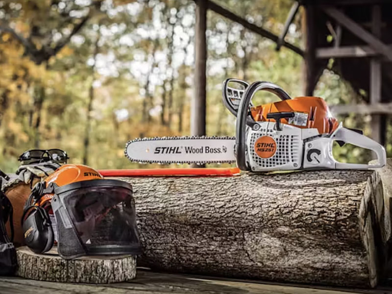 Stihl MS 251 WOOD BOSS 18 in. Bar in Mio, Michigan - Photo 6