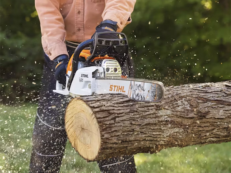 Stihl MS 251 WOOD BOSS 18 in. Bar in Mio, Michigan - Photo 7