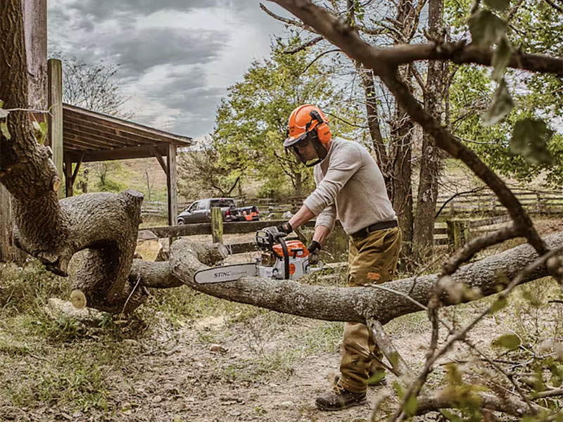 Stihl MS 261 20 in. Bar 23 RM3 in Calmar, Iowa - Photo 5