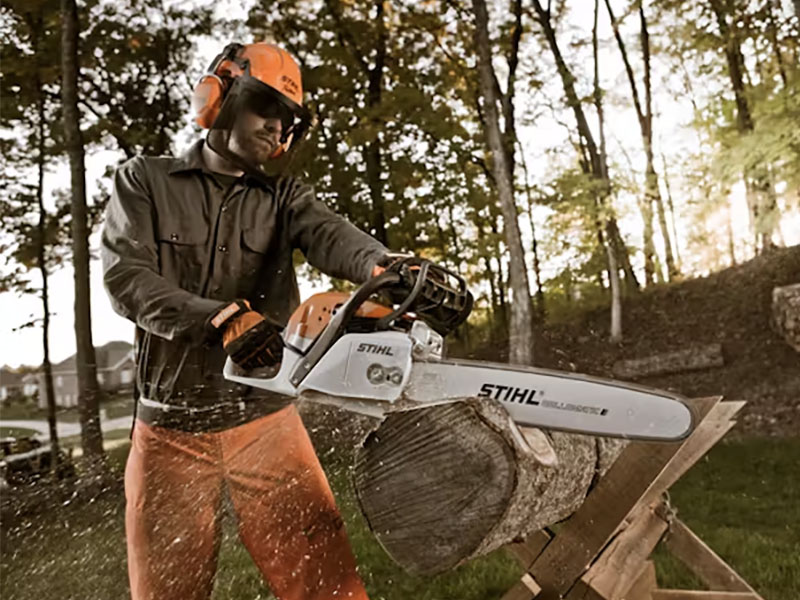 Stihl MS 291 20 in. Bar in Mio, Michigan - Photo 4