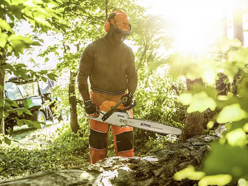 Stihl MS 291 20 in. Bar in Mio, Michigan - Photo 5