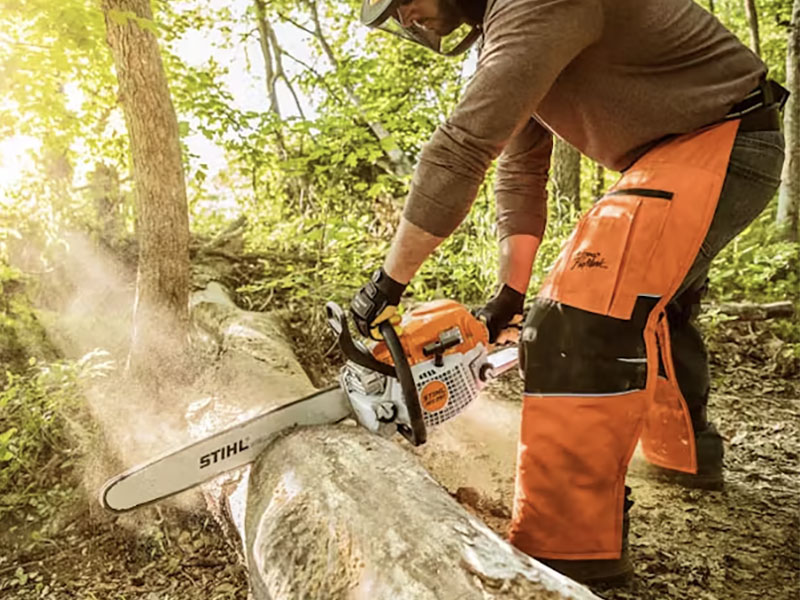 Stihl MS 291 20 in. Bar in Mio, Michigan - Photo 6