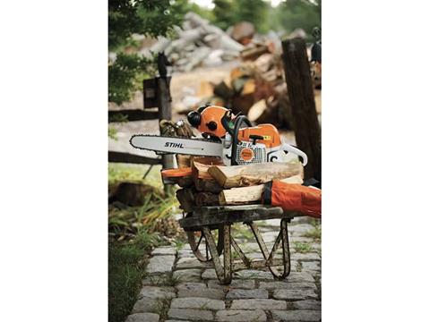 Stihl MS 311 18 in. Bar in Saint Maries, Idaho - Photo 4