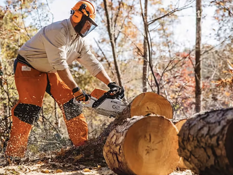 Stihl MS 311 25 in. Bar w/ Filing Kit in Mio, Michigan - Photo 7