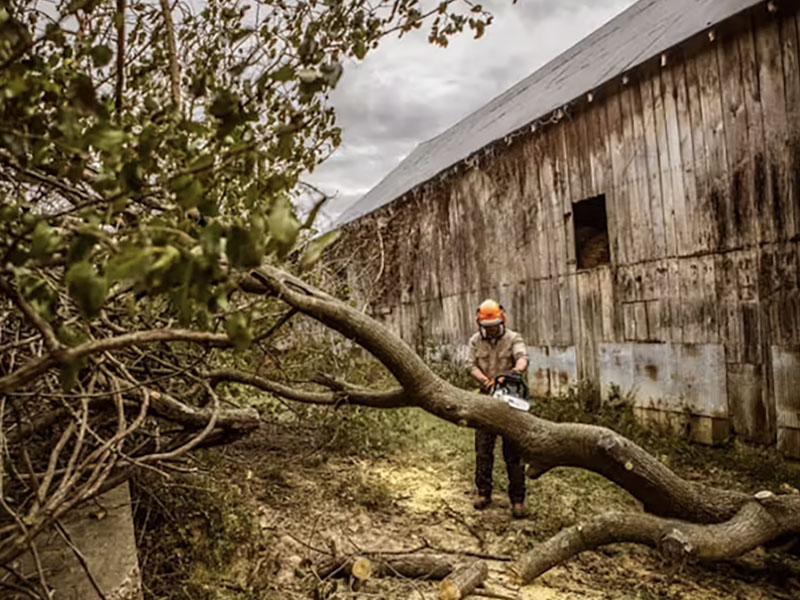 Stihl MS 362 20 in. Bar 33 RS3 in Calmar, Iowa - Photo 3