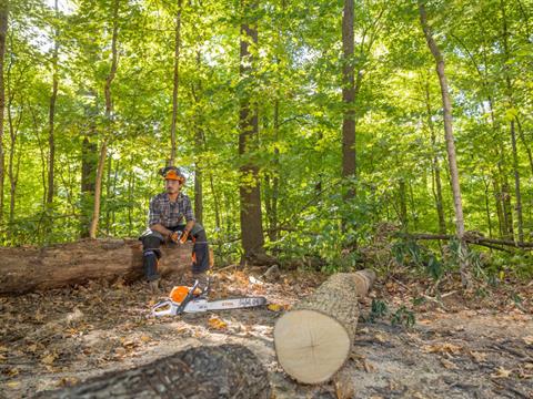 Stihl MS 362 C-M 18 in. in Stratford, Wisconsin - Photo 4