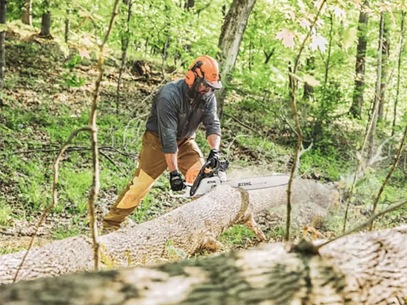 Stihl MS 391 20 in. Bar 33 RS3 in Mio, Michigan - Photo 4