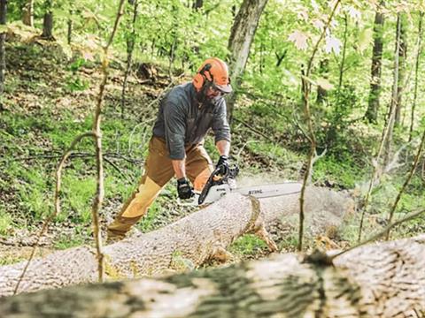 Stihl MS 391 20 in. Bar 33 RS3 in Mio, Michigan - Photo 4