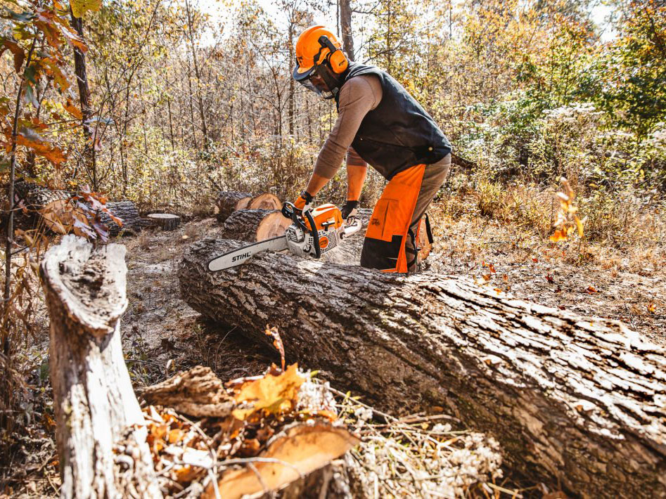 Stihl MS 391 25 in. in Stratford, Wisconsin - Photo 3