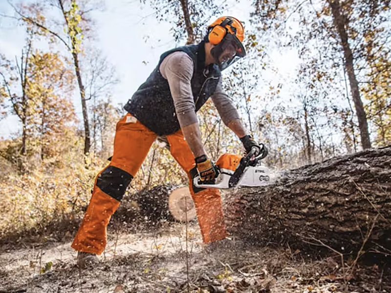 Stihl MS 391 25 in. Bar w/ Filing Kit in Mio, Michigan - Photo 5