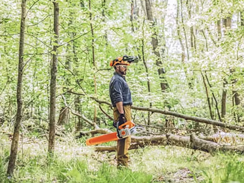 Stihl MS 391 25 in. Bar w/ Filing Kit in Mio, Michigan - Photo 6