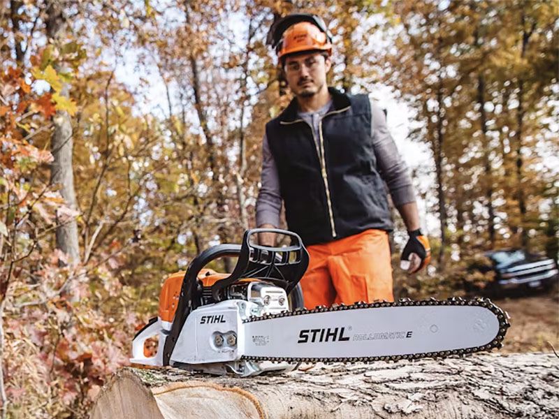Stihl MS 391 25 in. Bar w/ Filing Kit in Mio, Michigan - Photo 8