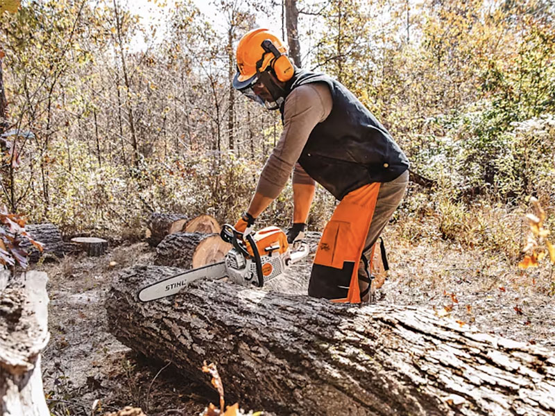 Stihl MS 391 25 in. Bar w/ Filing Kit in Mio, Michigan - Photo 9