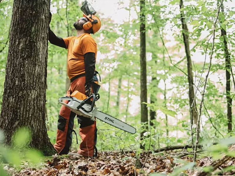 Stihl MS 462 C-M 25 in. Bar 36 RM in Calmar, Iowa - Photo 7