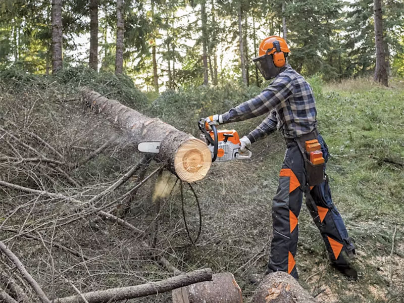 Stihl MS 462 C-M 25 in. Bar 36 RM in Calmar, Iowa - Photo 9