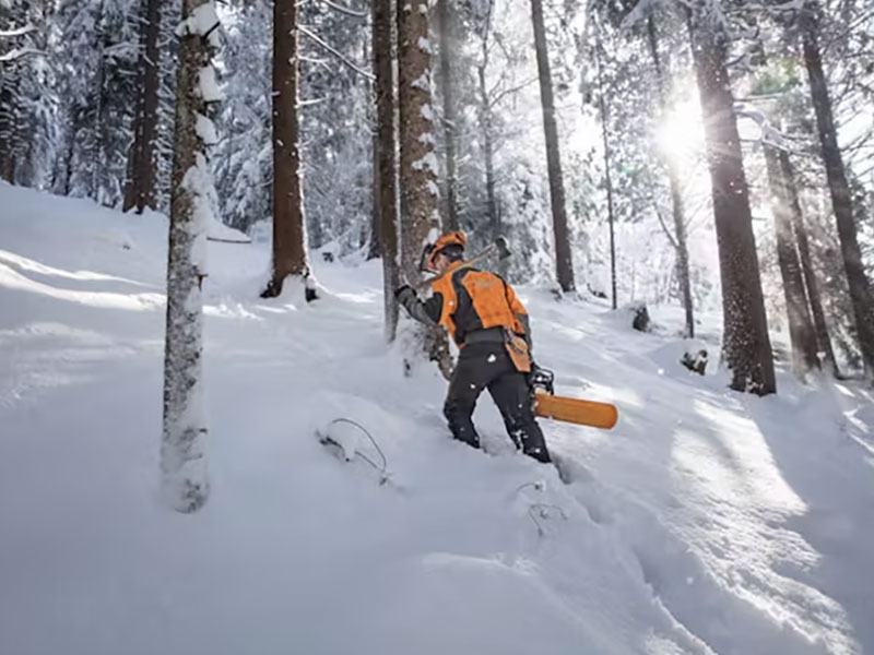 Stihl MS 462 C-M 25 in. Lightweight Bar w/ Filing Kit in Saint Maries, Idaho - Photo 3