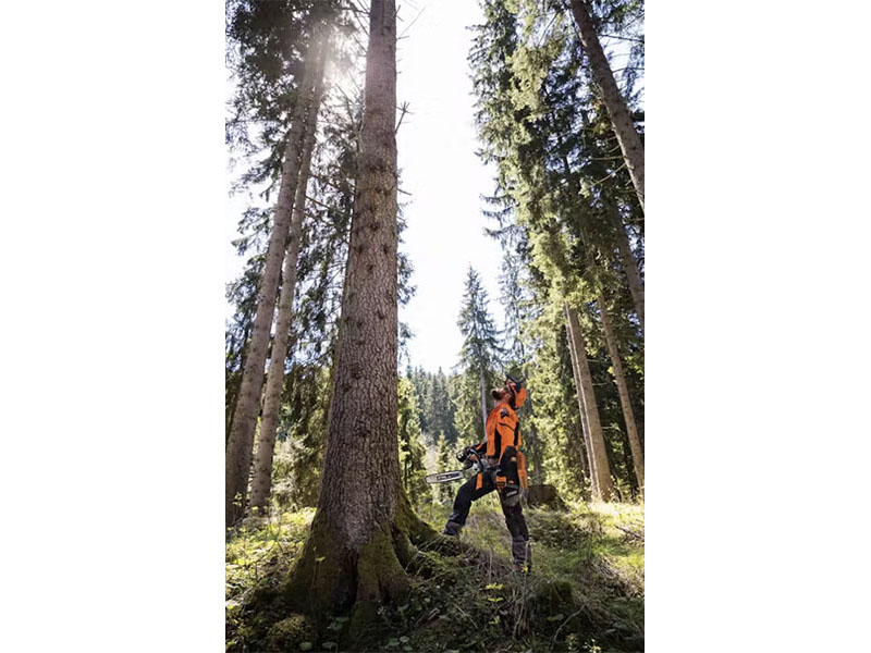 Stihl MS 462 C-M 25 in. Lightweight Bar w/ Filing Kit in Saint Maries, Idaho - Photo 4