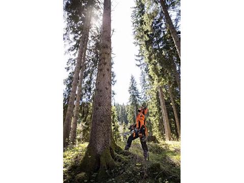 Stihl MS 462 C-M 25 in. Lightweight Bar w/ Filing Kit in Saint Maries, Idaho - Photo 4