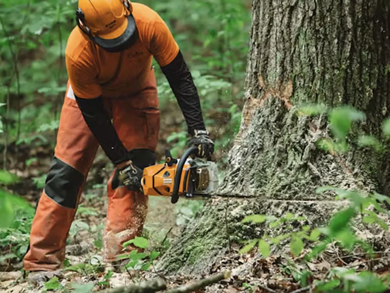 Stihl MS 500i 18 in. Bar in Calmar, Iowa - Photo 3