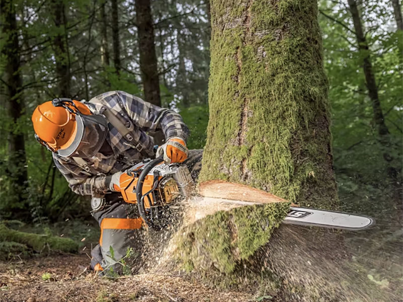 Stihl MS 500i R 18 in. Bar in Mio, Michigan - Photo 3