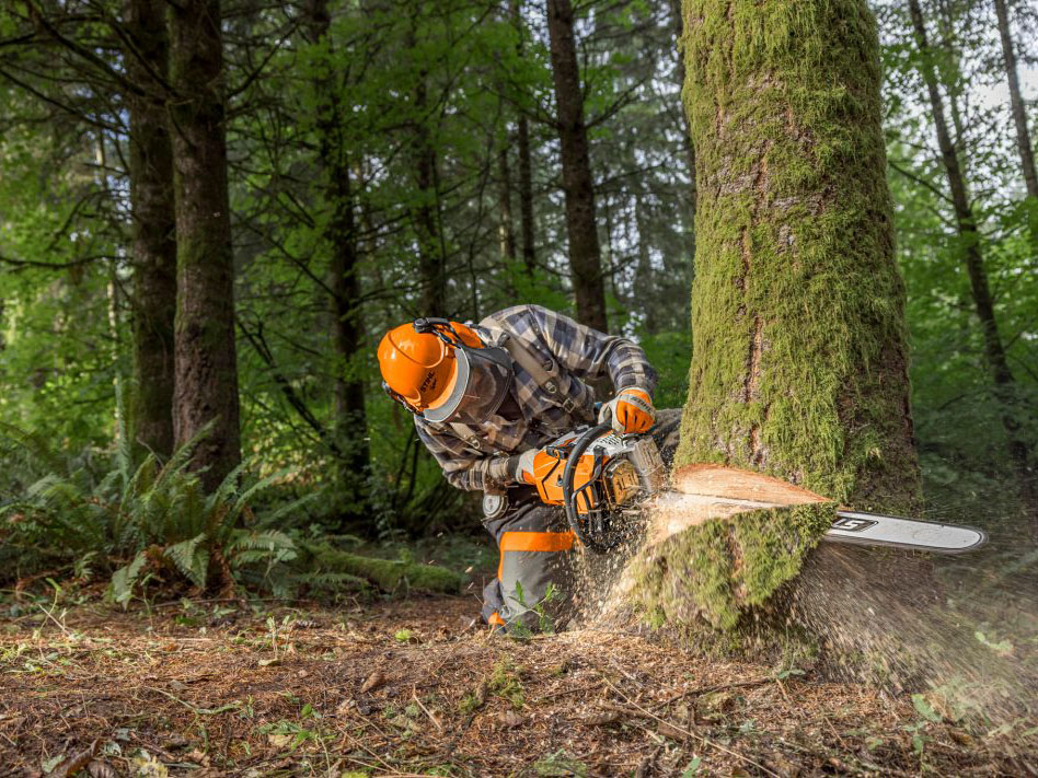 Stihl MS 500i R 25 in. Lightweight Bar w/ STIHL RAPID Super in Stratford, Wisconsin - Photo 4