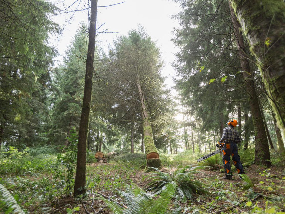 Stihl MS 500i R 28 in. Lightweight Bar w/ STIHL RAPID Super in Stratford, Wisconsin - Photo 5