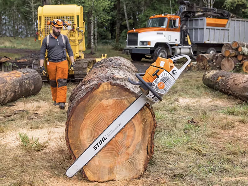 Stihl MS 881 R MAGNUM 25 in. Bar in Mio, Michigan - Photo 4