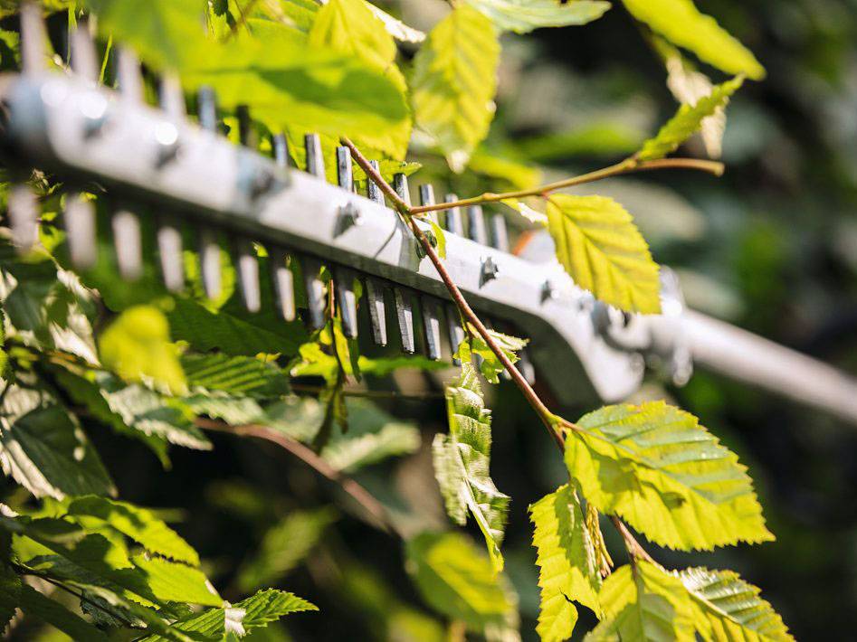 Stihl KM 131 R in Stratford, Wisconsin - Photo 4
