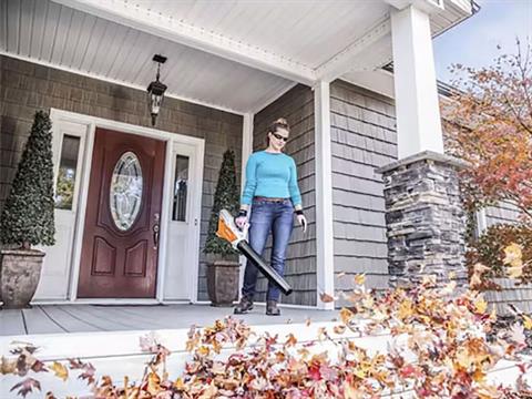 Stihl BGA 45 in Calmar, Iowa - Photo 3