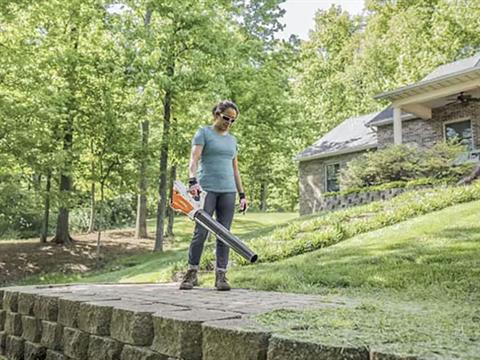 Stihl BGA 45 in Calmar, Iowa - Photo 5