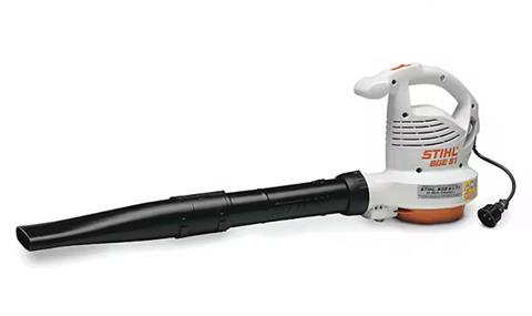 Stihl BGE 61 in Mio, Michigan