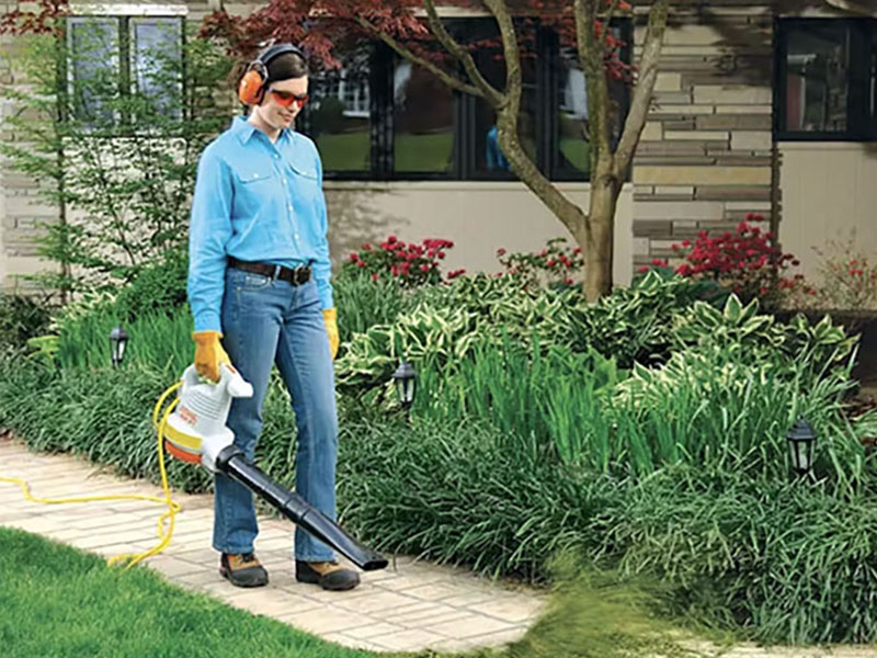 Stihl BGE 61 in Calmar, Iowa - Photo 2