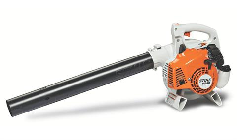 Stihl BG 50 in Calmar, Iowa