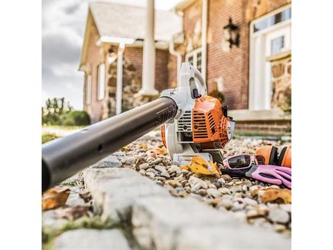 Stihl BG 50 in Calmar, Iowa - Photo 7
