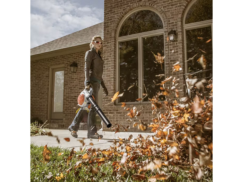 Stihl BG 56 C-E in Calmar, Iowa - Photo 7