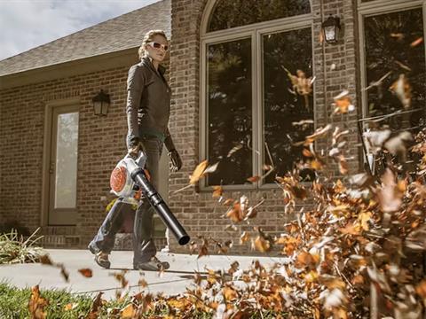 Stihl BG 56 C-E in Calmar, Iowa - Photo 7