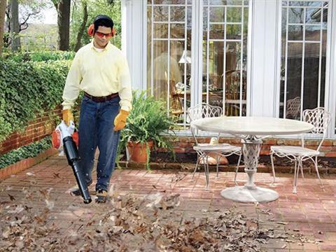Stihl BG 66 L in Calmar, Iowa - Photo 2