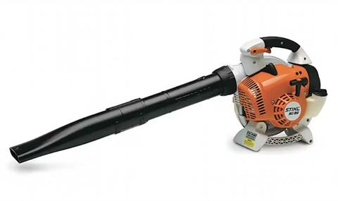 Stihl BG 86 in Mio, Michigan