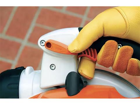 Stihl BG 86 in Calmar, Iowa - Photo 3