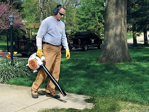 Stihl BG 86 in Calmar, Iowa - Photo 6