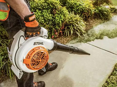 Stihl BG 86 in Calmar, Iowa - Photo 7