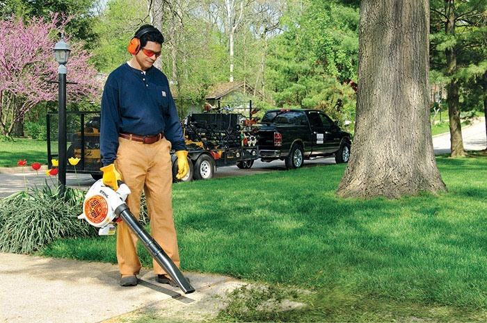 Stihl BG 86 in Calmar, Iowa - Photo 2
