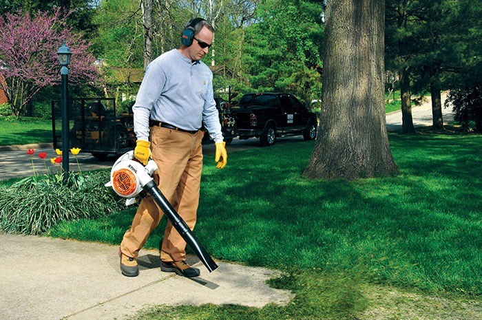 Stihl BG 86 in Calmar, Iowa - Photo 3
