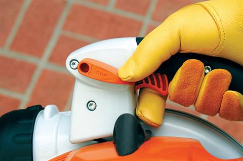 Stihl BG 86 in Calmar, Iowa - Photo 4