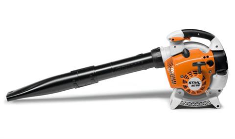 Stihl BG 86 in Stratford, Wisconsin