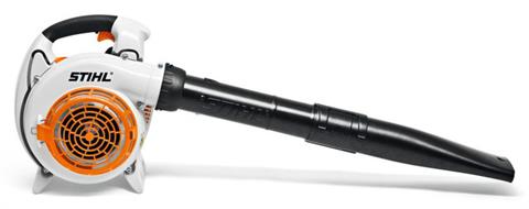 Stihl BG 86 in Stratford, Wisconsin - Photo 2