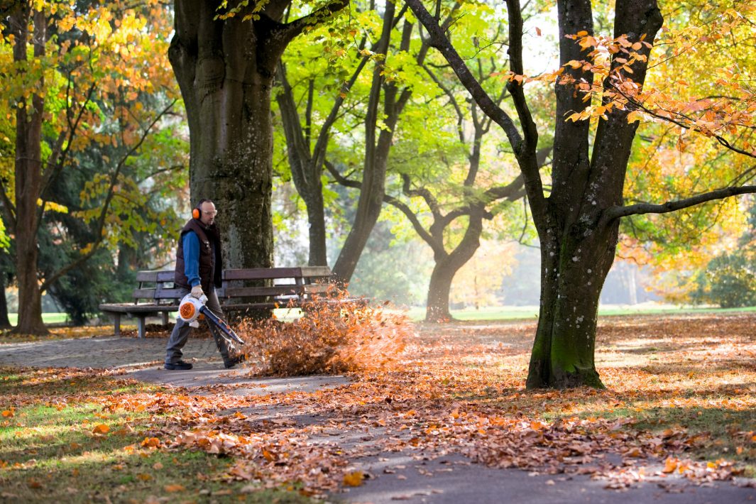 Stihl BG 86 C-E in Stratford, Wisconsin - Photo 3